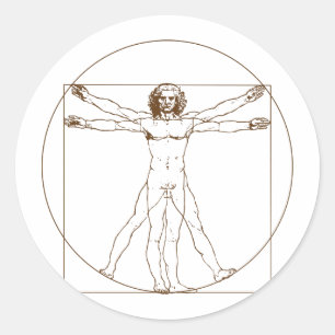Da Vinci Vitruvian Man Sticker