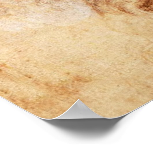 Da Vinci Woman's hoofdkantoor Poster (Hoek)