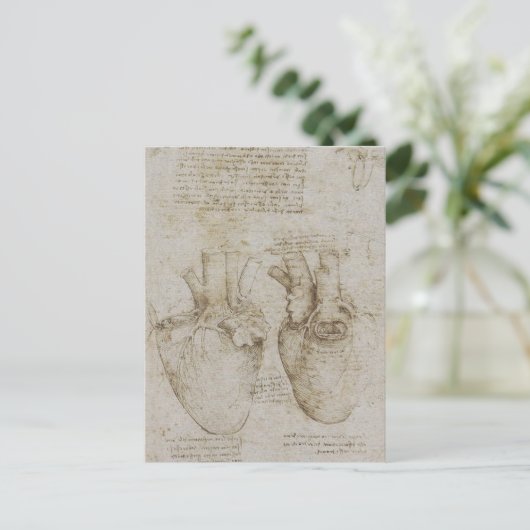 Da Vinci's anatomieketches voor het menselijk hart Briefkaart (Staand voorkant)