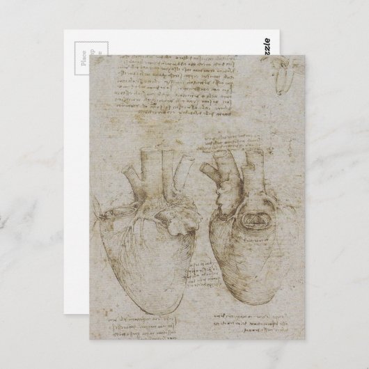 Da Vinci's anatomieketches voor het menselijk hart Briefkaart (Voorkant / Achterkant)