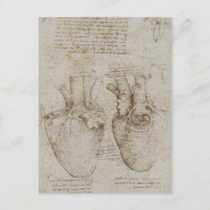 Da Vinci's anatomieketches voor het menselijk hart Briefkaart