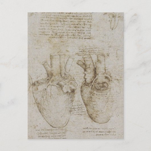 Da Vinci's anatomieketches voor het menselijk hart Briefkaart (Voorkant)