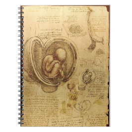 Da Vinci's Fetus Anatomy Notebook Notitieboek