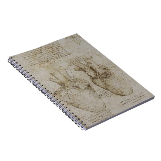 Da Vinci's hartanatomie Notitieboek (Rechterzijde)