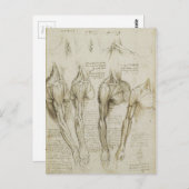 Da Vinci's Human Skeleton Anatomy Sketches Briefkaart (Voorkant / Achterkant)