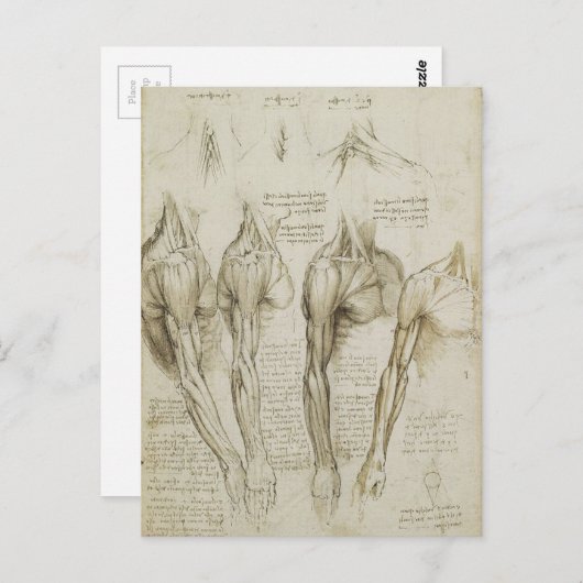 Da Vinci's Human Skeleton Anatomy Sketches Briefkaart (Voorkant / Achterkant)