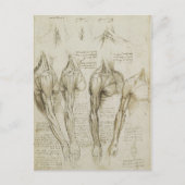 Da Vinci's Human Skeleton Anatomy Sketches Briefkaart (Voorkant)