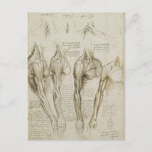 Da Vinci's Human Skeleton Anatomy Sketches Briefkaart (Voorkant)