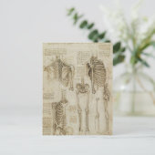 Da Vinci's Human Skeleton Anatomy Sketches Briefkaart (Staand voorkant)