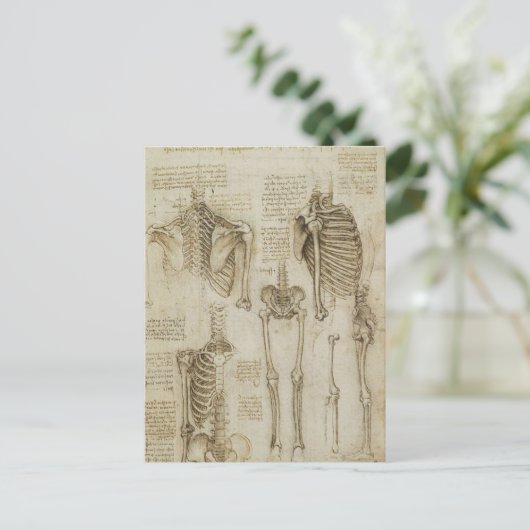 Da Vinci's Human Skeleton Anatomy Sketches Briefkaart (Staand voorkant)