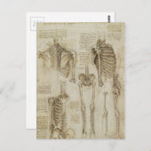 Da Vinci's Human Skeleton Anatomy Sketches Briefkaart (Voorkant / Achterkant)