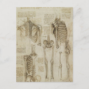 Da Vinci's Human Skeleton Anatomy Sketches Briefkaart