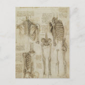 Da Vinci's Human Skeleton Anatomy Sketches Briefkaart (Voorkant)
