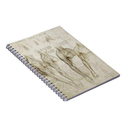 Da Vinci's Human Skeleton Anatomy Sketches Notitieboek (Rechterzijde)