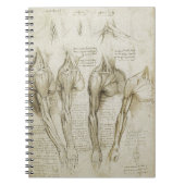 Da Vinci's Human Skeleton Anatomy Sketches Notitieboek (Voorkant)