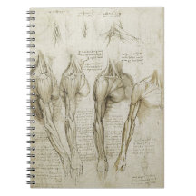 Da Vinci's Human Skeleton Anatomy Sketches