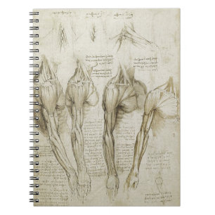 Da Vinci's Human Skeleton Anatomy Sketches Notitieboek