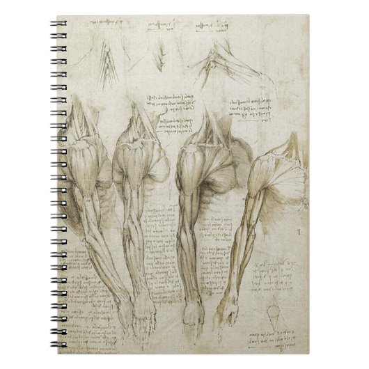 Da Vinci's Human Skeleton Anatomy Sketches Notitieboek (Voorkant)