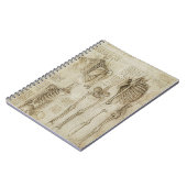 Da Vinci's Human Skeleton Anatomy Sketches Notitieboek (Linkerzijde)