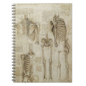 Da Vinci's Human Skeleton Anatomy Sketches Notitieboek (Voorkant)