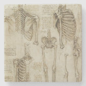 Da Vinci's Human Skeleton Anatomy Sketches Stenen Onderzetter (Voorkant)