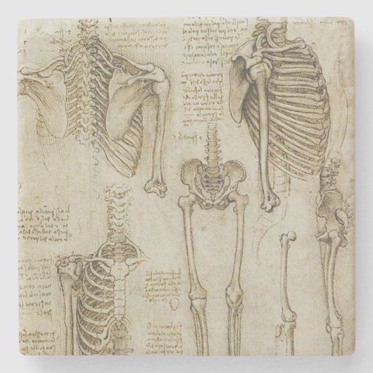 Da Vinci's Human Skeleton Anatomy Sketches Stenen Onderzetter (Voorkant)