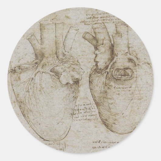 Da Vinci's Menselijk Hart Anatomie Schetsen Ronde Sticker (Voorkant)