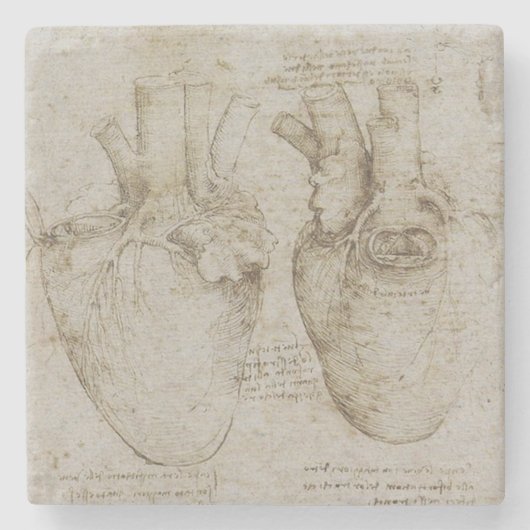 Da Vinci's menselijke hartanatomie Stenen Onderzetter (Voorkant)