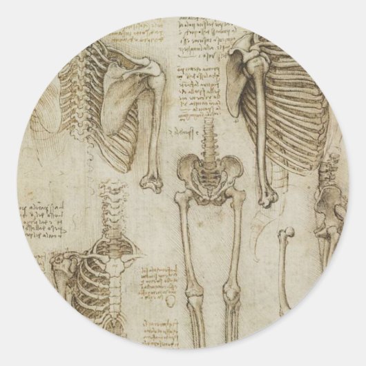 Da Vinci's menselijke skelet Anatomie schetsen Ronde Sticker (Voorkant)