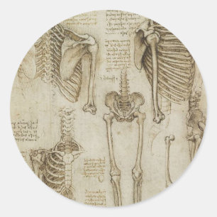 Da Vinci's menselijke skelet Anatomie schetsen Ronde Sticker