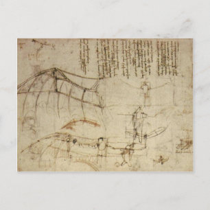 Da Vinci's vliegverbod Briefkaart