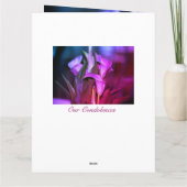 Daadste sympathie kaart (Achterkant)