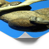 daar blijven hangen poster (Hoek)