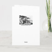 DAAR BUITEN ERGENS Chow kunstkaarten Kaart (Achterkant)