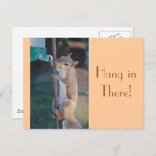 Daar hangen, Briefkaart Squirrel (Voorkant / Achterkant)