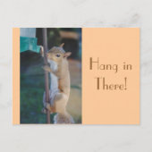 Daar hangen, Briefkaart Squirrel (Voorkant)