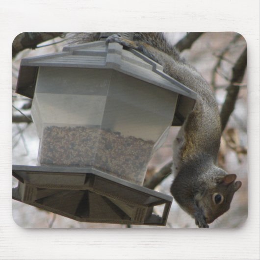 Daar komt de vogelzaadmousepad muismat (Voorkant)