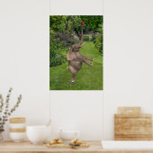Daar zijn vrienden voor poster (Keuken)