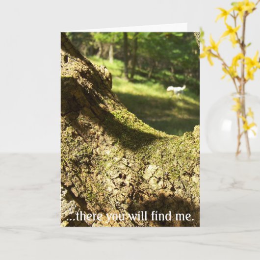 Daar zul je me vinden. kaart (Gele Bloem)