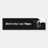 Daarom ben ik Vegan Bumpersticker (Voorkant)