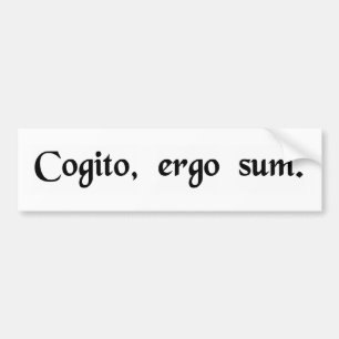 Daarom denk ik. bumpersticker