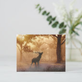 Daas in het bos briefkaart (Staand voorkant)