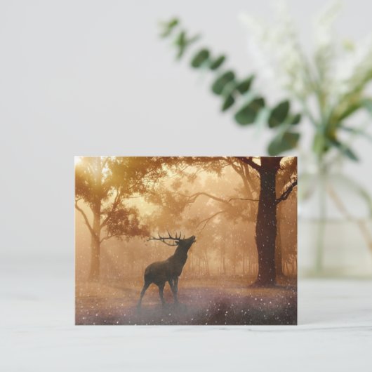 Daas in het bos briefkaart (Staand voorkant)