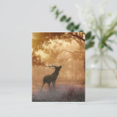 Daas in het bos briefkaart (Staand voorkant)