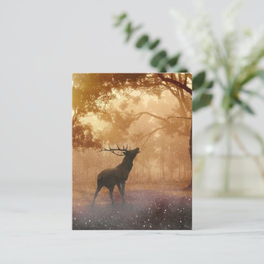 Daas in het bos briefkaart (Staand voorkant)