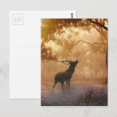 Daas in het bos briefkaart (Voorkant / Achterkant)