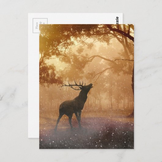 Daas in het bos briefkaart (Voorkant / Achterkant)