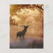 Daas in het bos briefkaart (Voorkant)