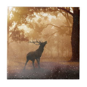 Daas in het bos tegeltje