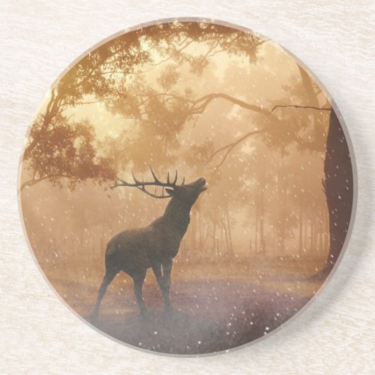 Daas in het bos zandsteen onderzetter (Voorkant)